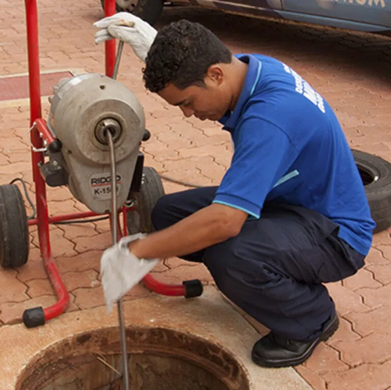 tubarao